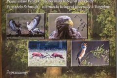 2019-05-23 - Wystawa Fotograficzna w Zalesiu