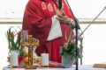img_6206_20190611_1482158104