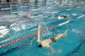 zawody w pływaniu 101