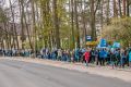 31-IMG_6970